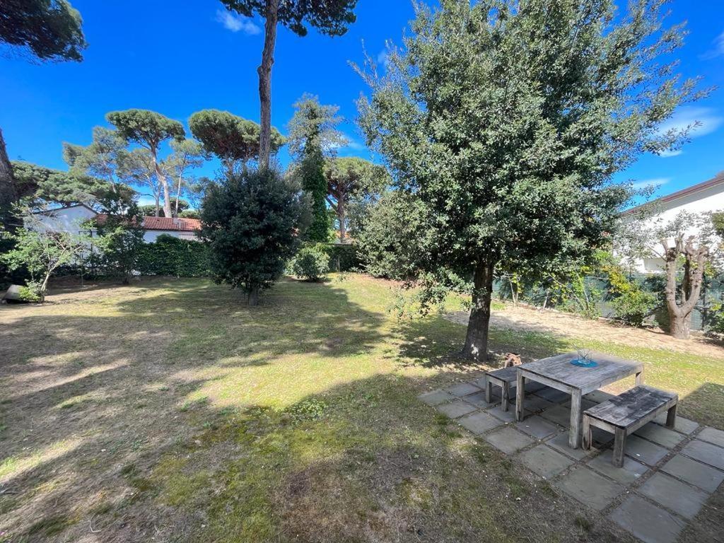 Pineta Apartament تيرّينْيا المظهر الخارجي الصورة
