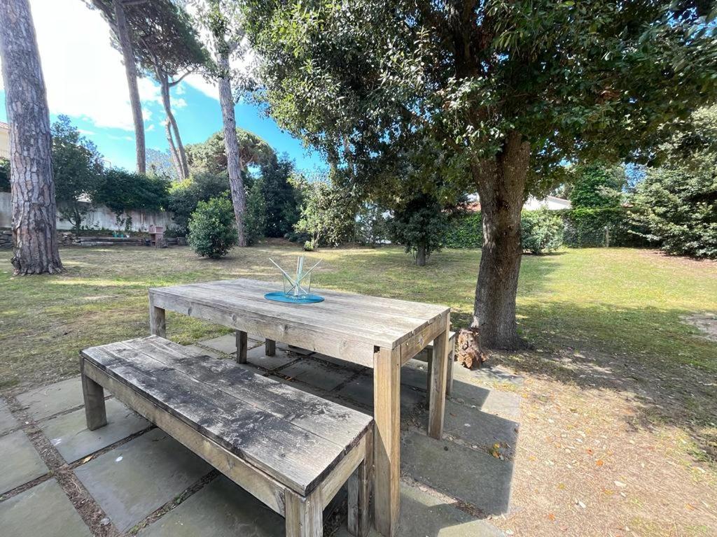 Pineta Apartament تيرّينْيا المظهر الخارجي الصورة
