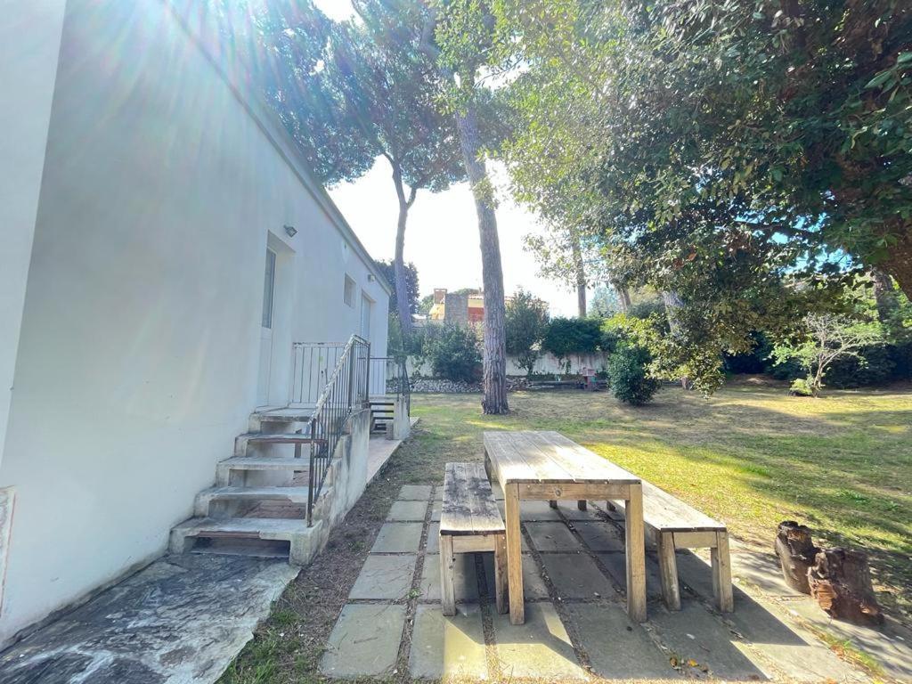 Pineta Apartament تيرّينْيا المظهر الخارجي الصورة