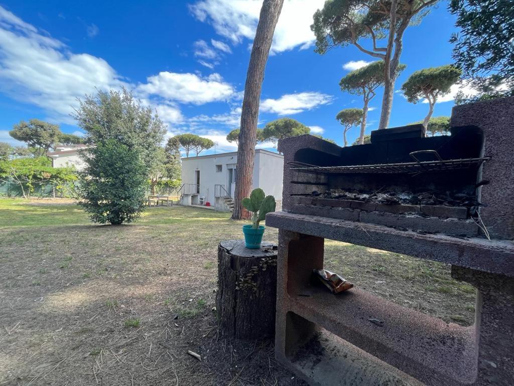 Pineta Apartament تيرّينْيا المظهر الخارجي الصورة